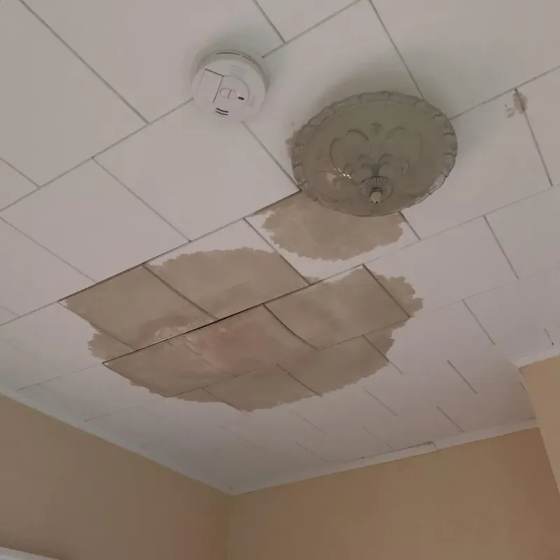 Ceiling Water Damage Repair in Kronenwetter, WI