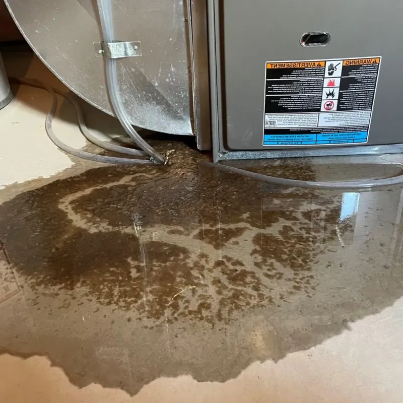 Pipe Burst and Leak Restoration in Kronenwetter, WI